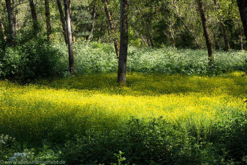 12_DSC1816_1720