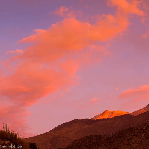 12_G_92582_1720