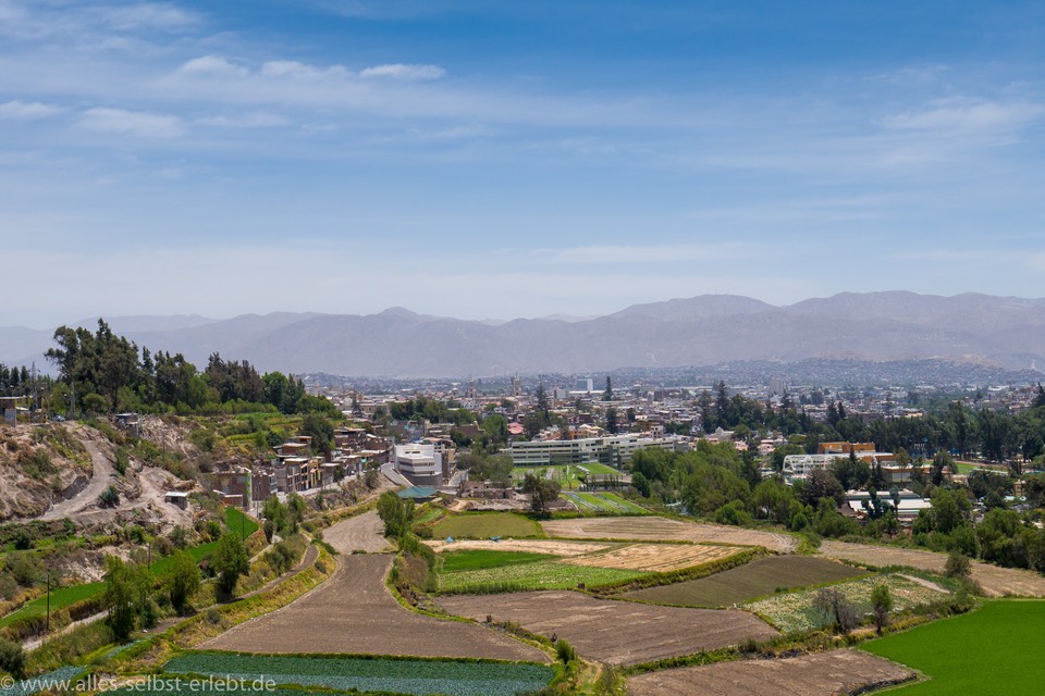  G 92475 1920