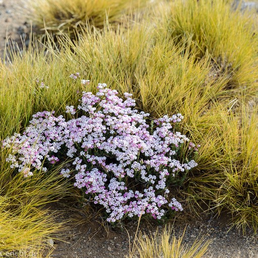 001_0014649