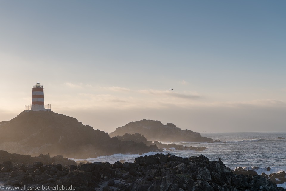 01_D855906_1720