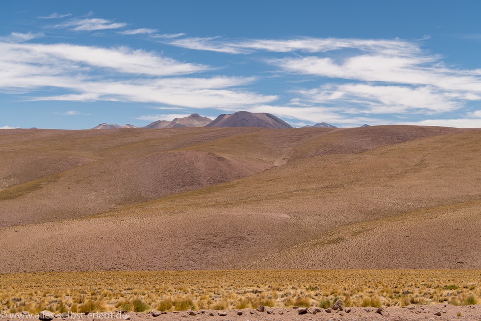 01_D856255_1720