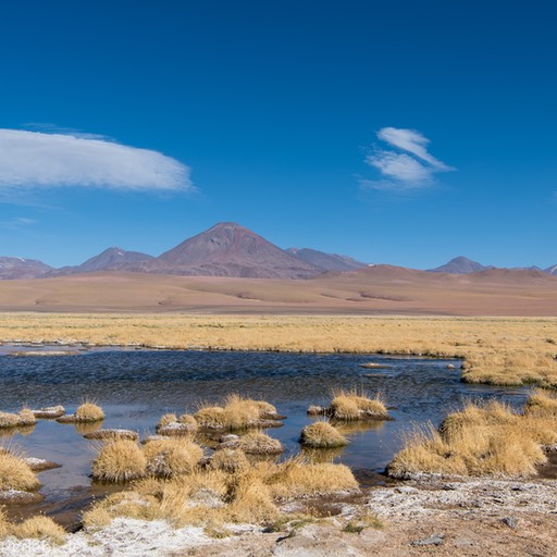 01_D856369_1720
