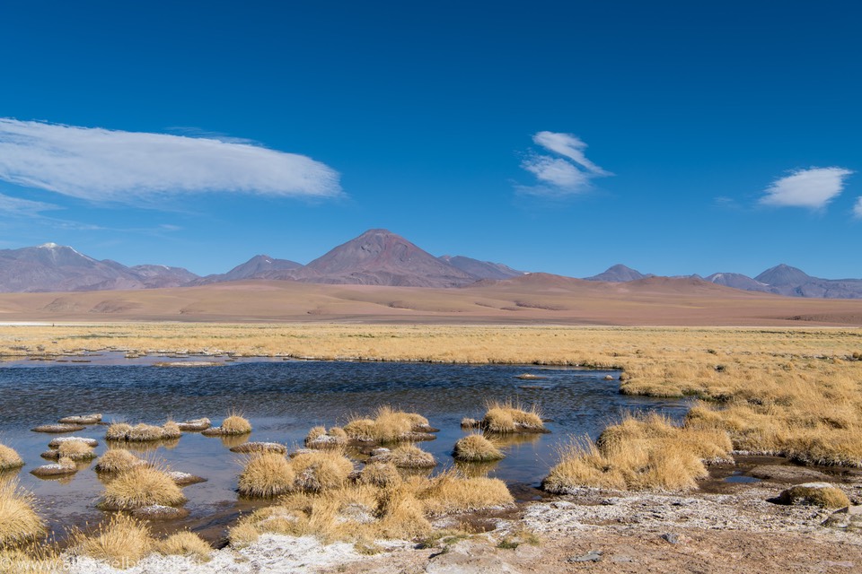 01_D856369_1720