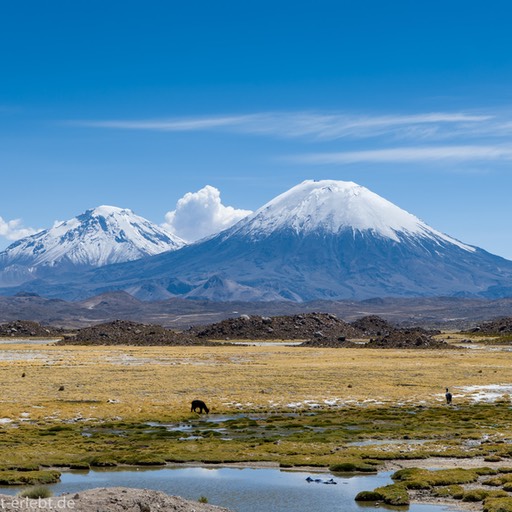 01_D857655_1720