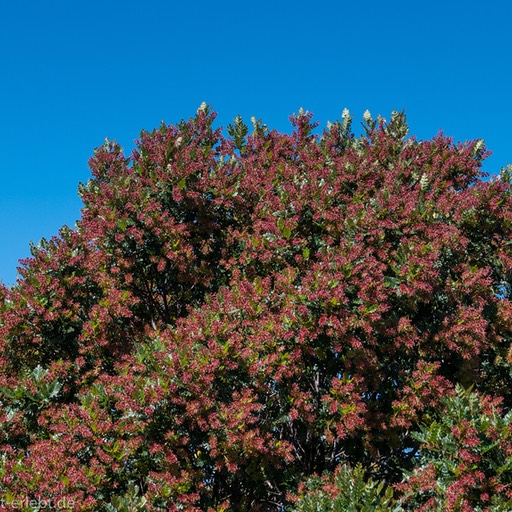 02_1090167_1720