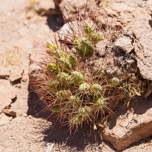 02_D809668_1720