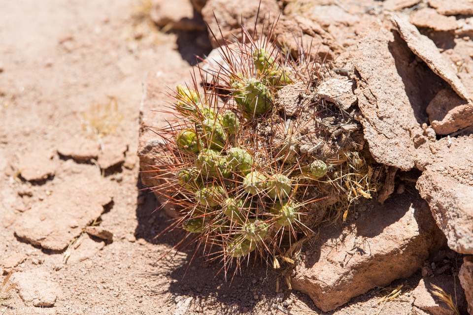 02_D809668_1720