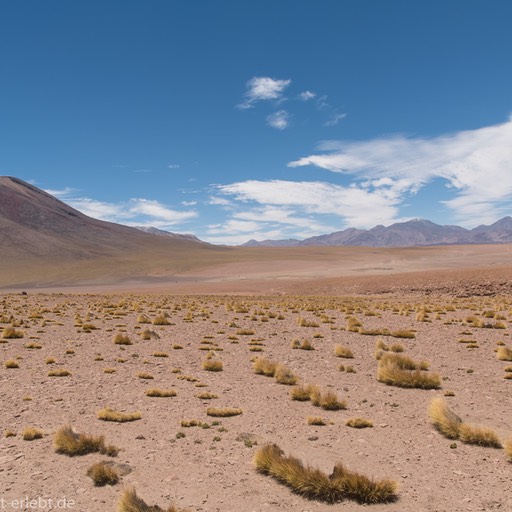 02_D856268_1720
