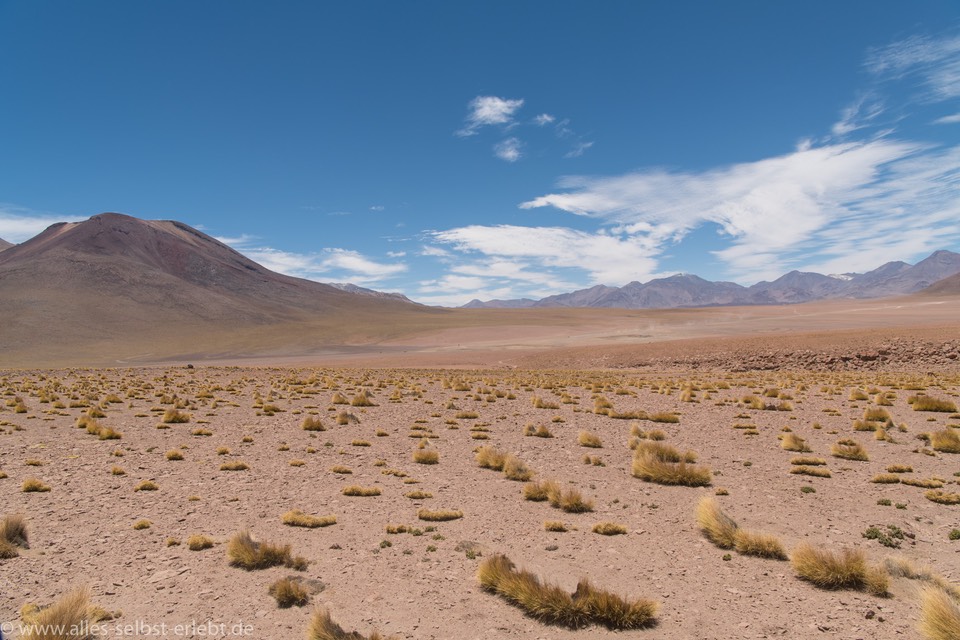 02_D856268_1720