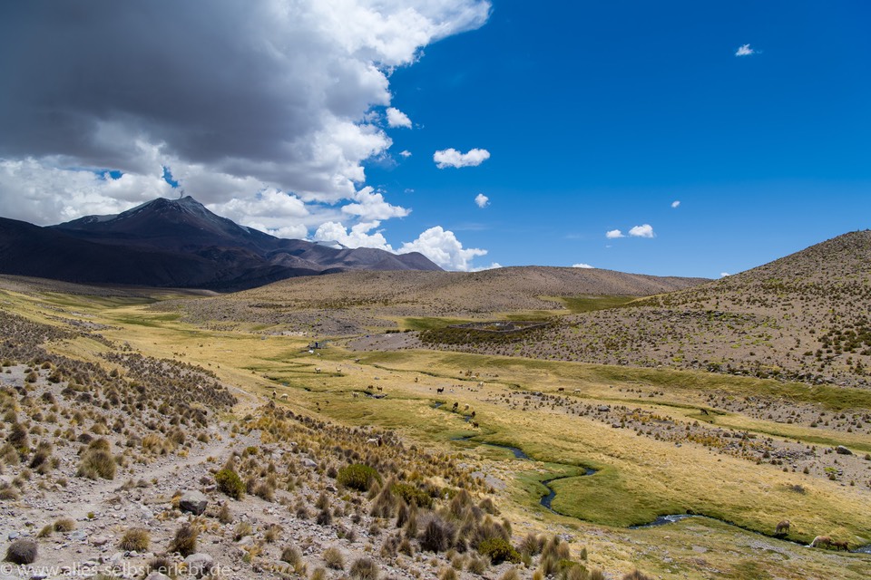 02_D857622_1720