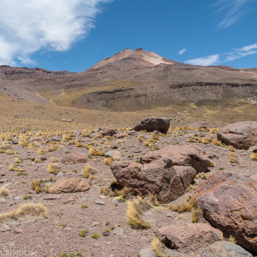 03_D856279_1720