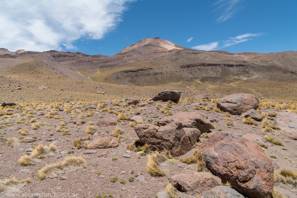 03_D856279_1720