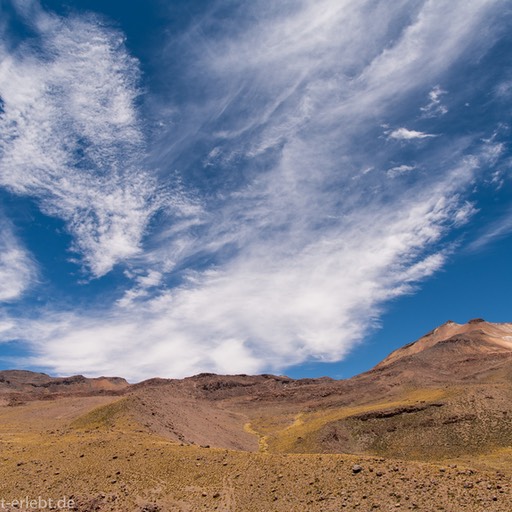 04_D856282_1720