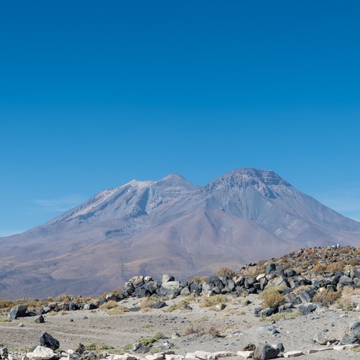 05_D856243_1720