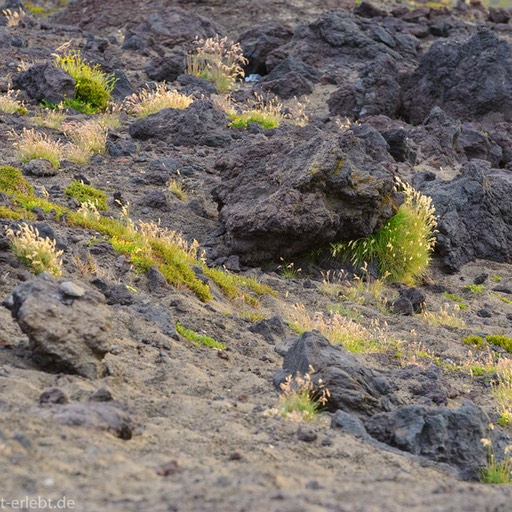 07_0015985_1720