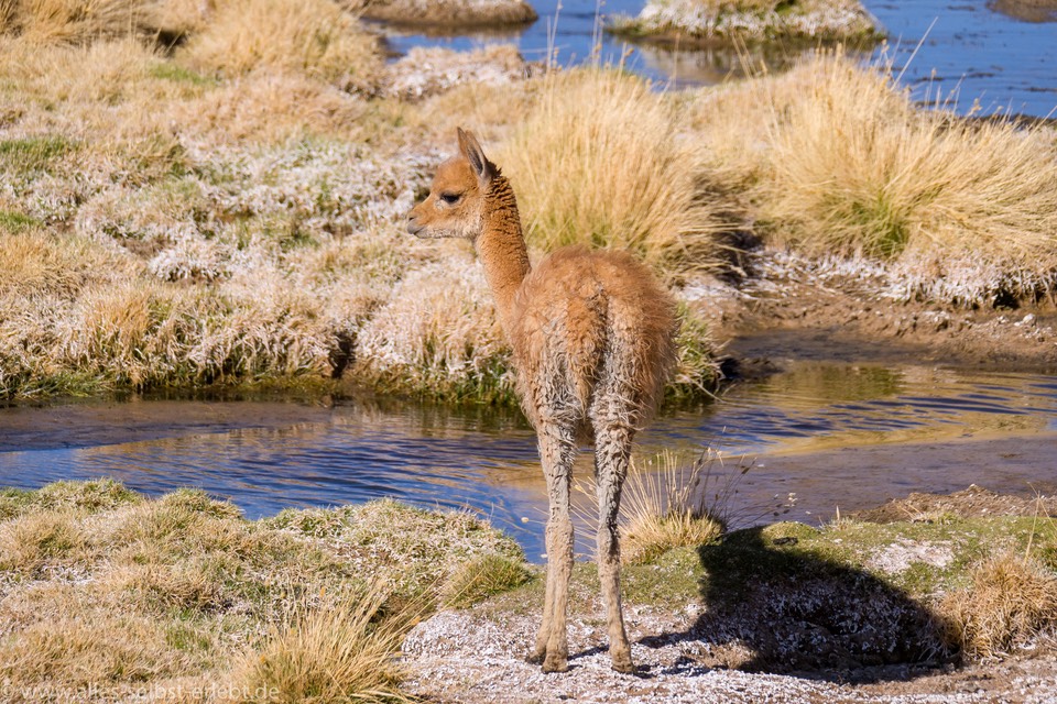 07_1280650_1720