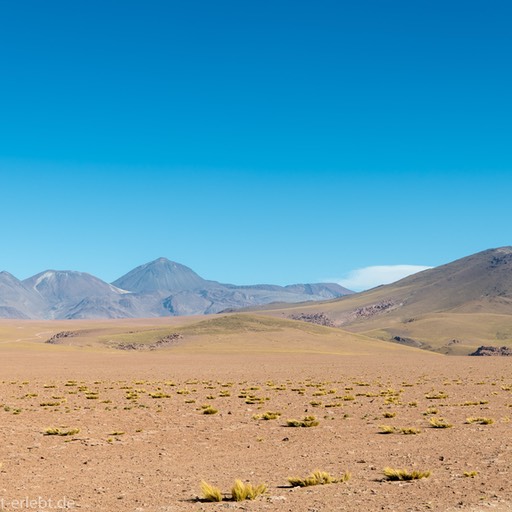 07_D856466_1720