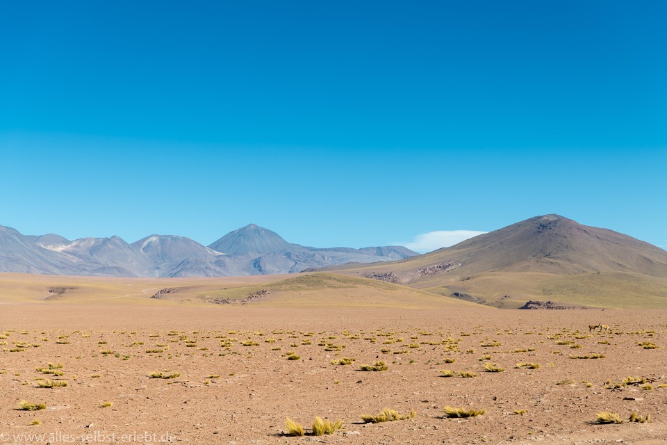 07_D856466_1720