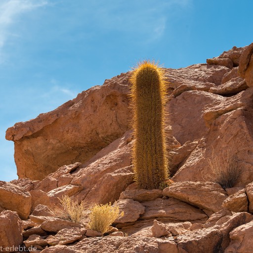 08_D809846_1720