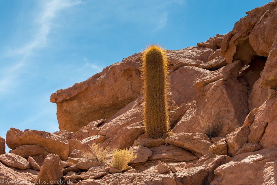 08_D809846_1720