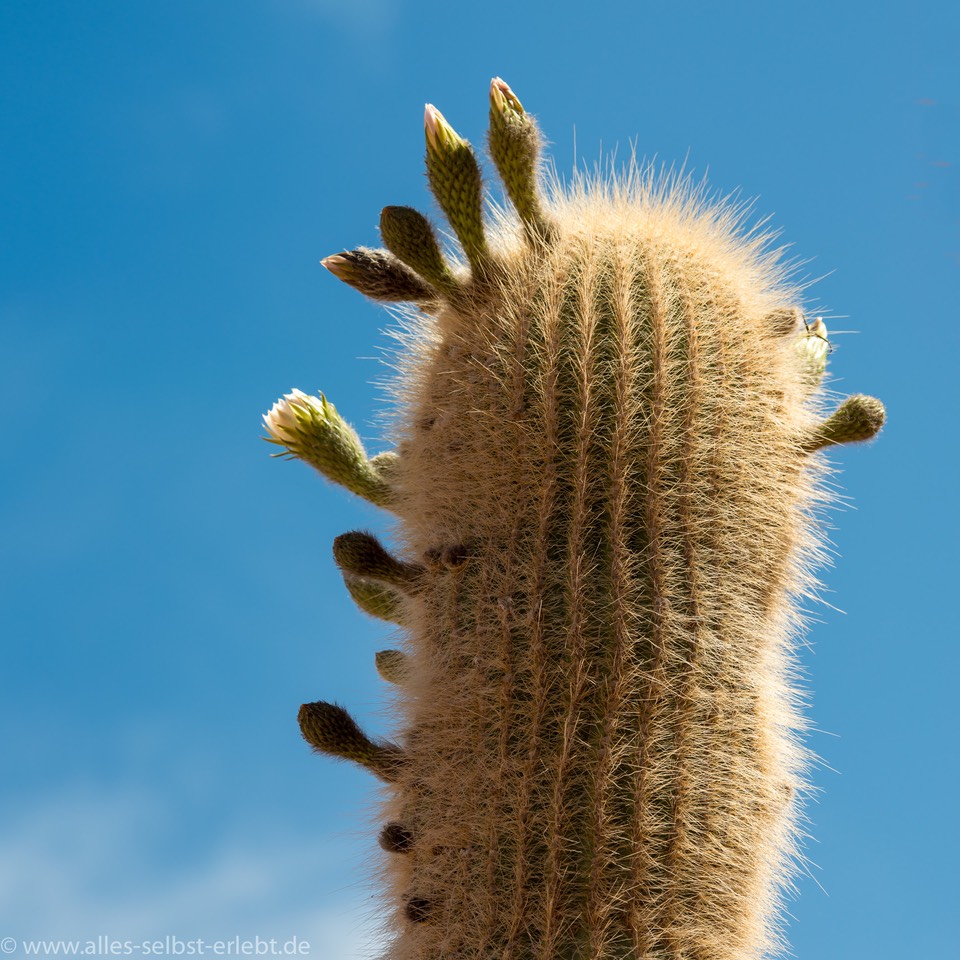09_D809850_1720