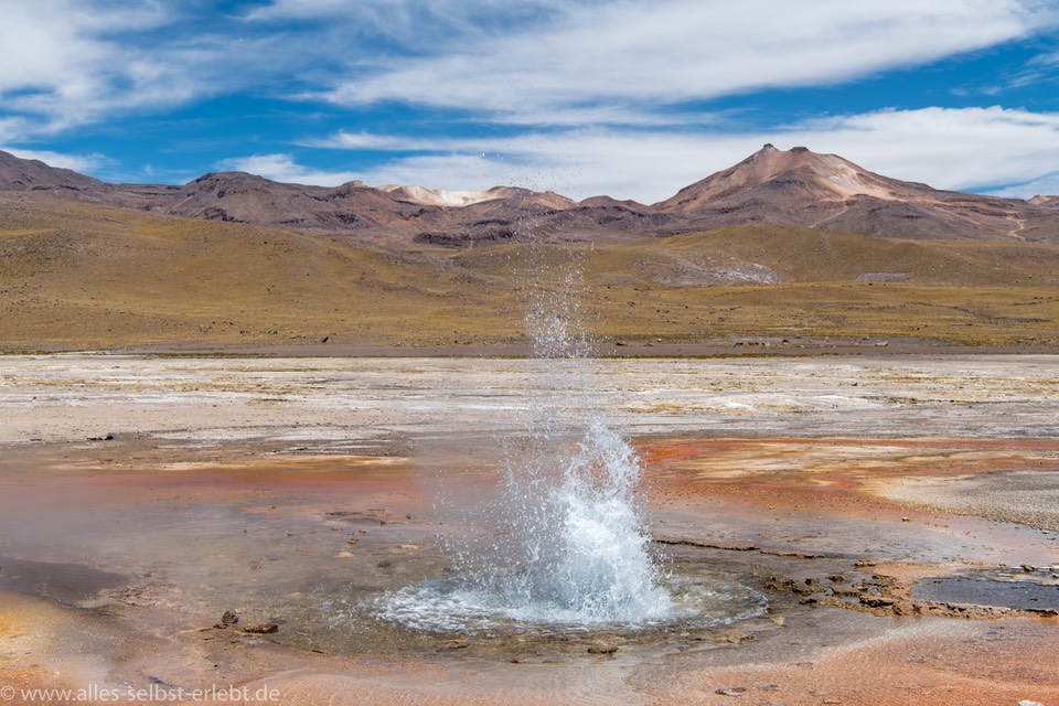 11_D856325_1720