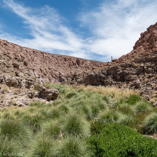13_D856527_1720