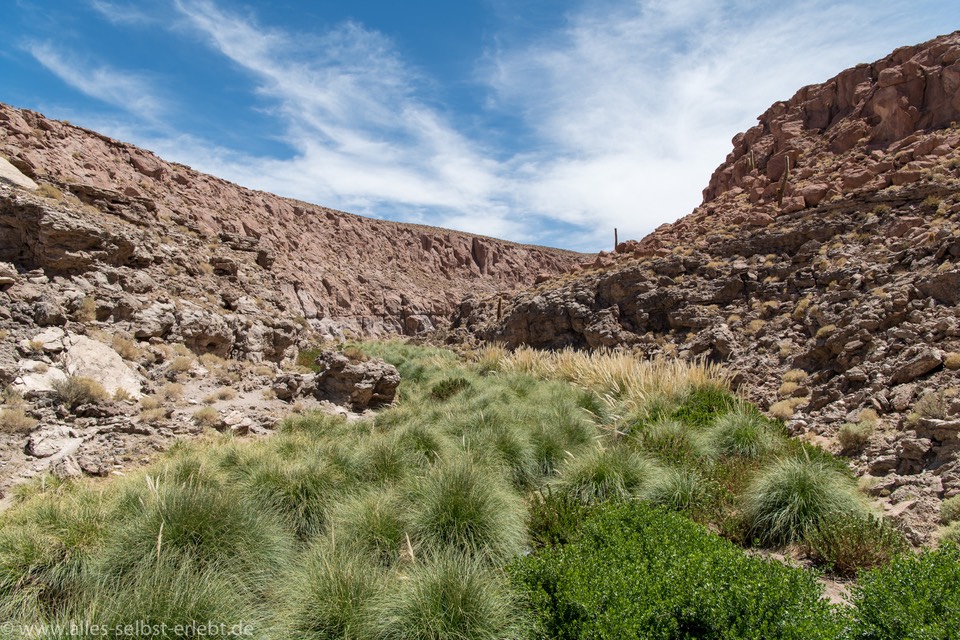 13_D856527_1720