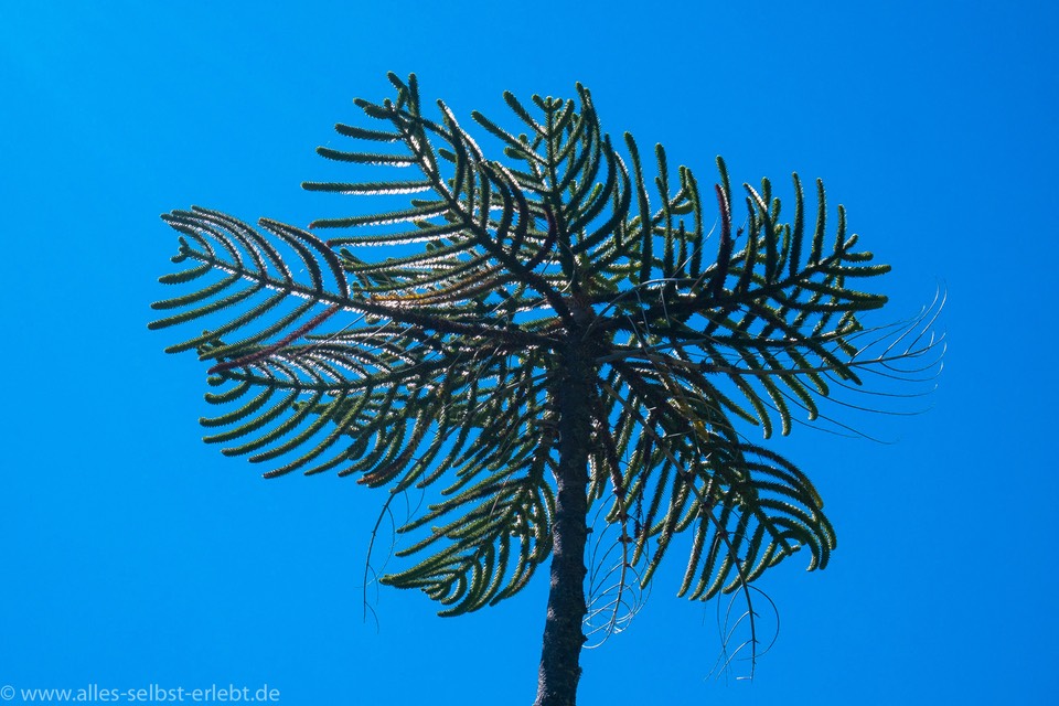 21_1220831_1720