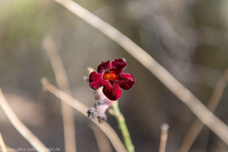 24_D855082_1720