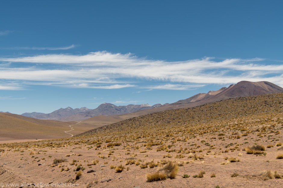  D856261 940