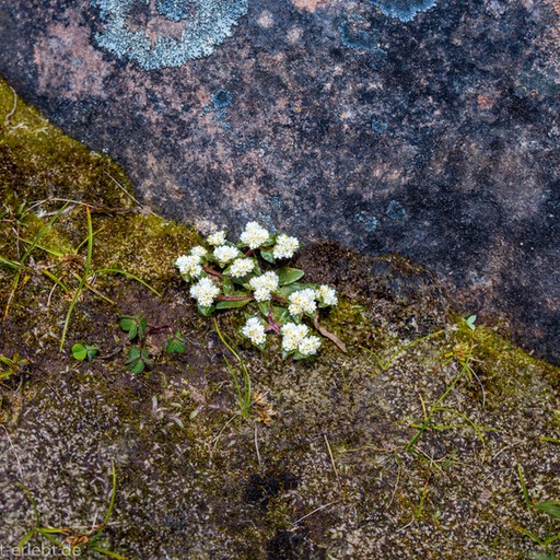 06_Z638808_1720