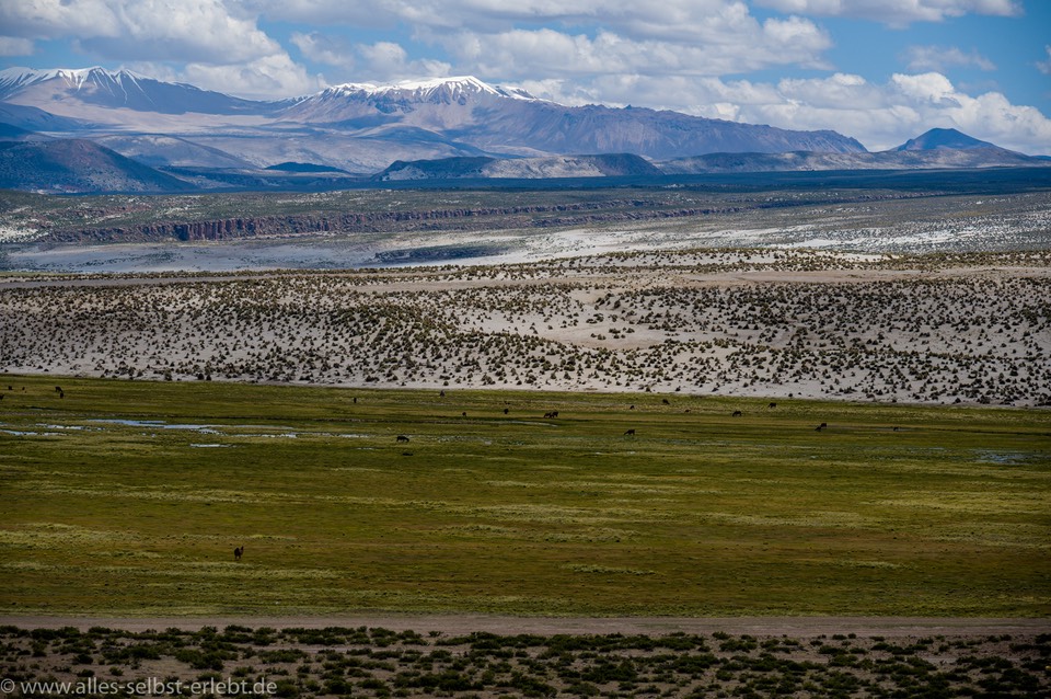 06_Z639587_1720