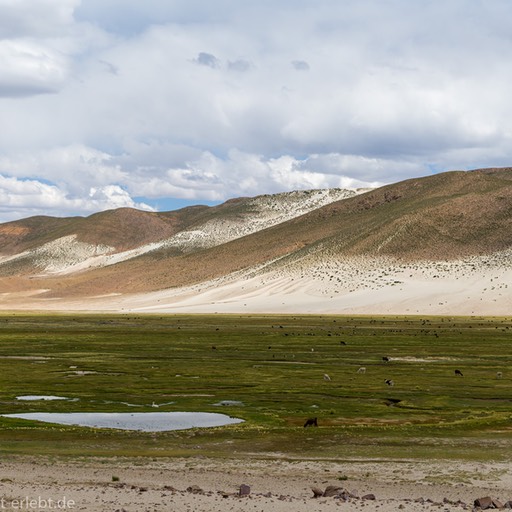 08_D857170_1720