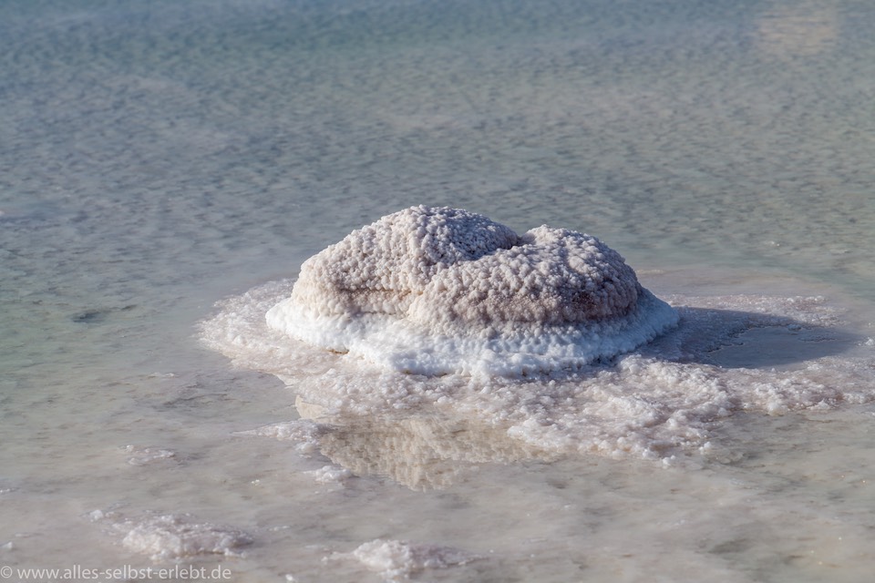 12_D857550_1720