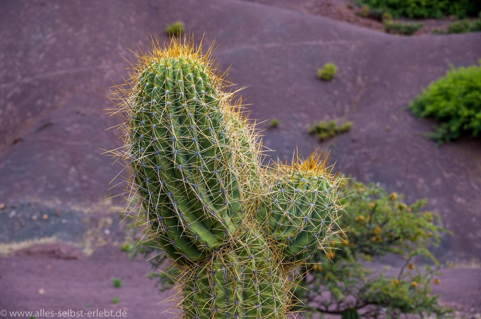 20_Z639638_1720