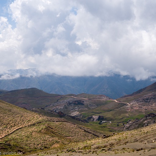 21_Z638638_1720