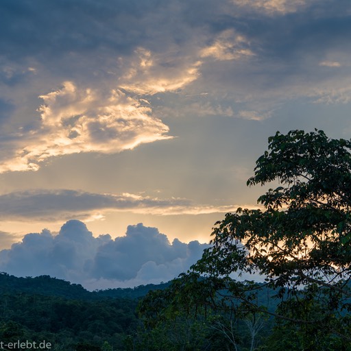 01_D851990_1720