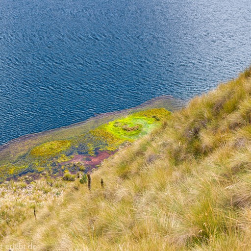05_D852246_1720
