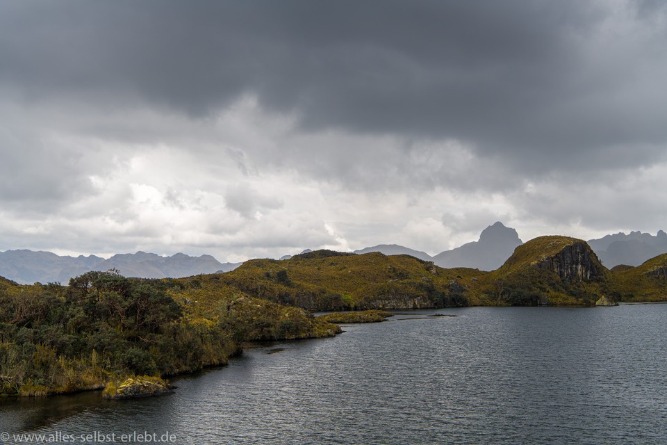 06_D851571_1720