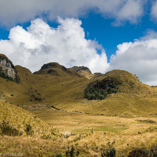 06_D852271_1720