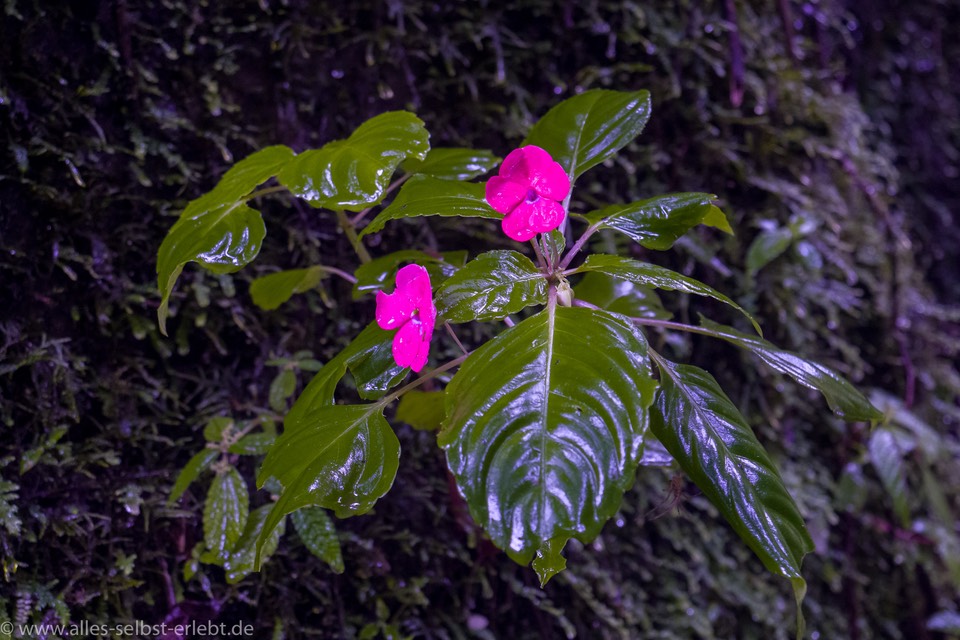 07__G_94439_1720