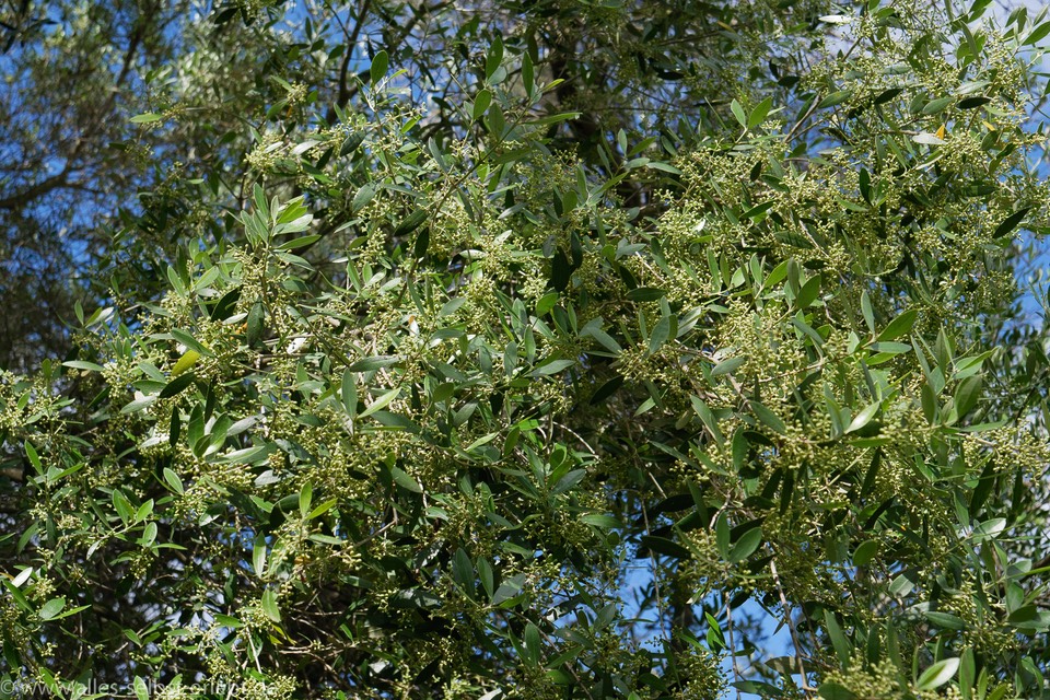 20_1260272_1720