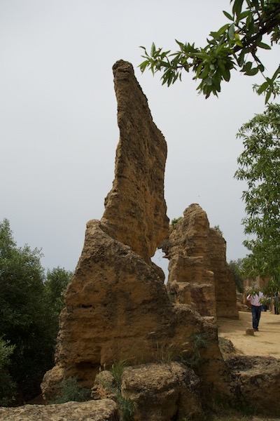 DSC0515