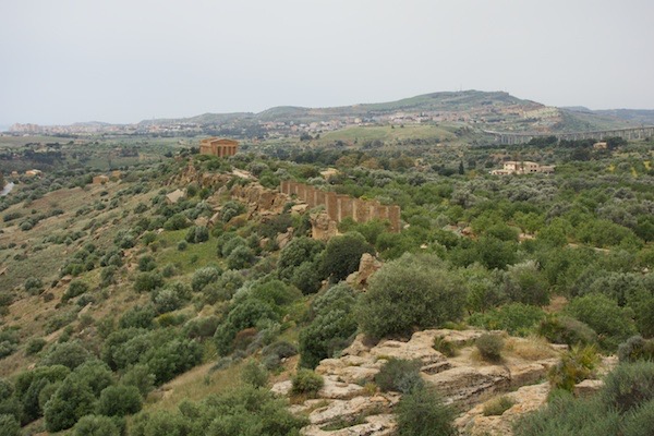 DSC0517