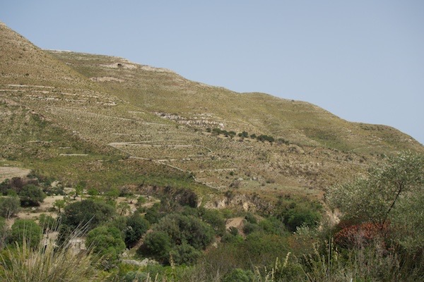 DSC0554