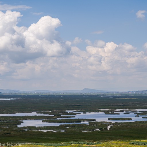 01_Z637748_1720