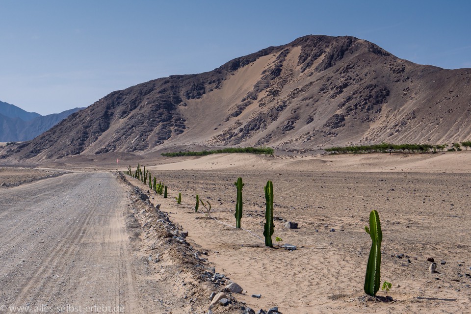 03__G_96973_1720