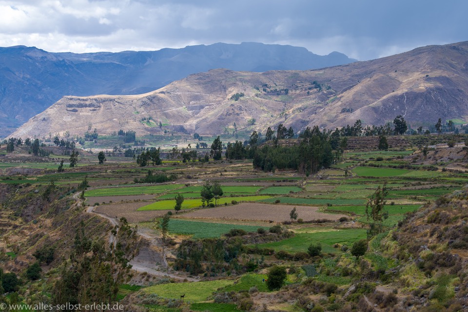 05_D801162_1720
